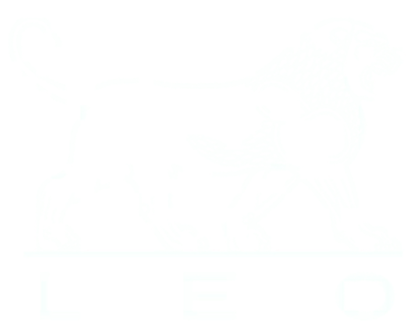 LEO Logo